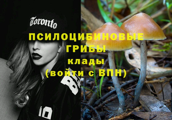2c-b Алзамай