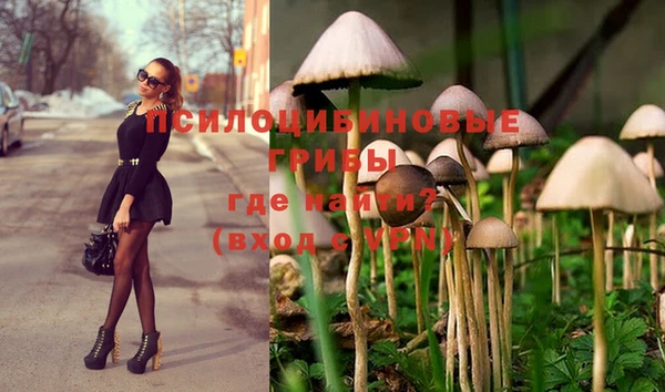 spice Абинск