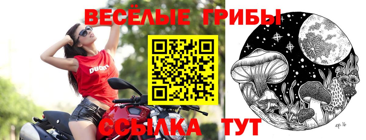 Россошь  Галлюциногенные грибы ЛСД  Вход с VPN  Галлюциногенные грибы ЛСД 
